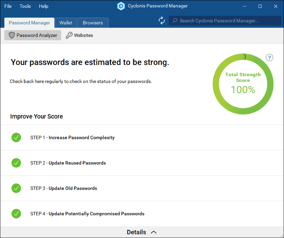 Cyclonis Password Manager Software